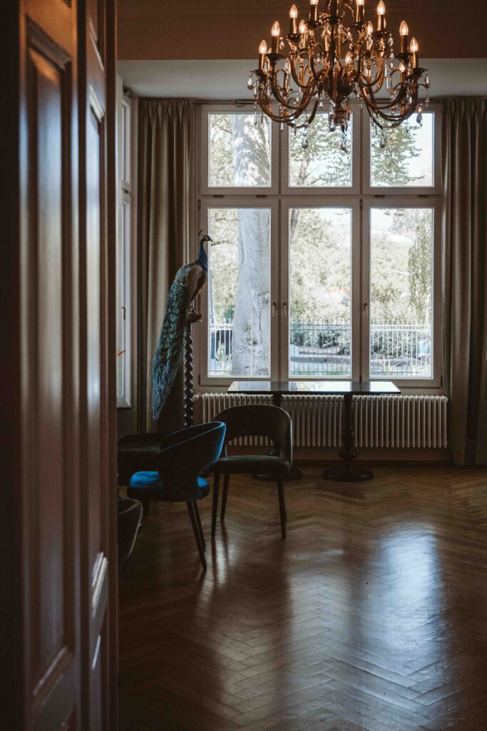 Blick in einen historischen Raum der Villa Bodinus im Kölner Zoo mit Kronleuchter, Parkettboden und einem dekorativen Pfau vor den großen Fenstern.